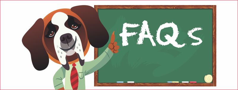 Frequently Asked Questions About Pet Food & Accessories