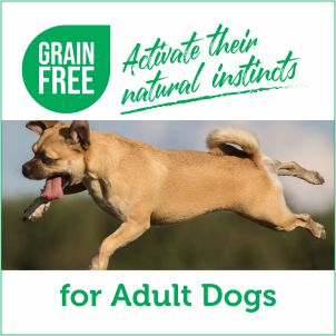 Grain-free Food for Dogs