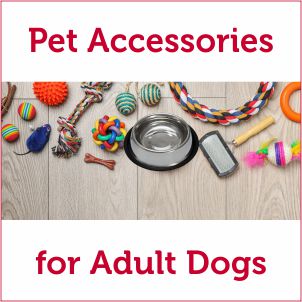 Pet Accessories for Dogs