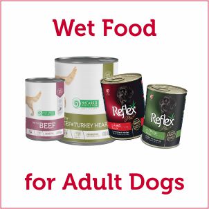 Wet Canned Food for Dogs