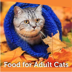 Food for Adult Cats