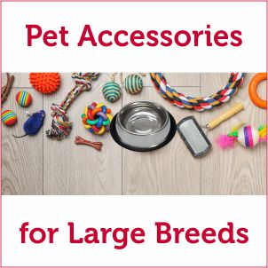 Pet Accessories for Maxi, Large, Giant Breed Dogs