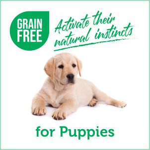 Grain-free Food for Puppies.