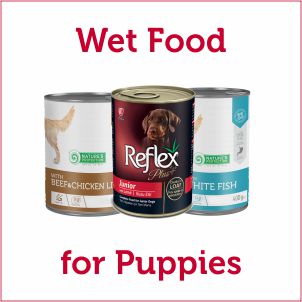 Wet Canned Food for Puppies