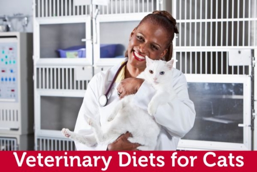 Veterinary Diet for Cats