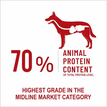 Bonnie Adult Dog Food | Beef (2.5kg, 16kg/15+1free)