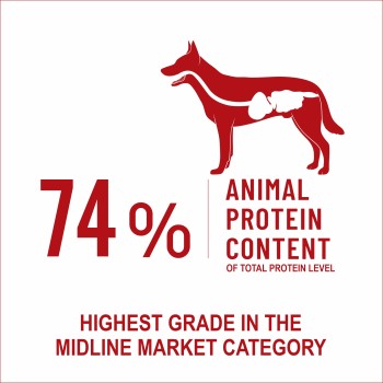 Bonnie Adult Dog Food | Lamb & Rice (2.5kg, 16kg/15+1free)