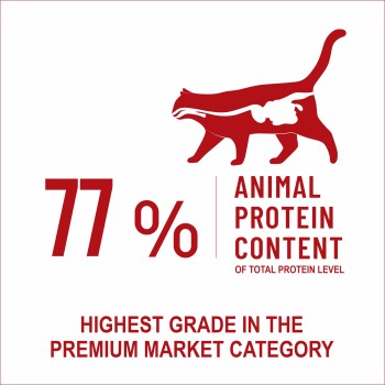 Bonnie Adult Cat Food | Lamb (500g, 1.5kg)