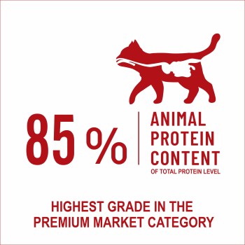 Bonnie Kitten Food | Chicken (500g, 1.5kg)