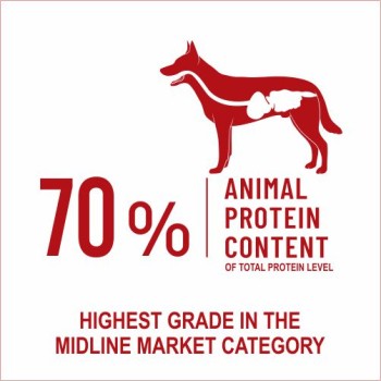 Bonnie Adult Dog Food | Beef (2.5kg)