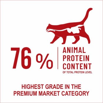 Bonnie Adult Cat Food | Salmon (500g)