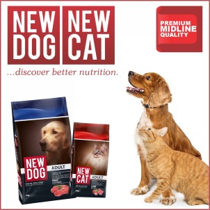 New Dog/New Cat (Midline)
