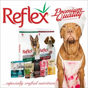 Reflex (Premium)