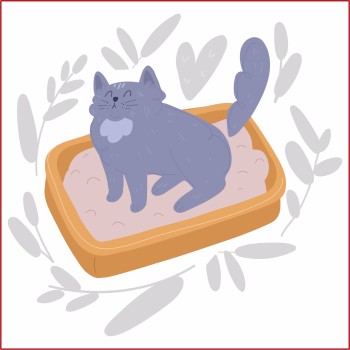 Bonnie Bentonite Cat Litter | Unscented (5l)