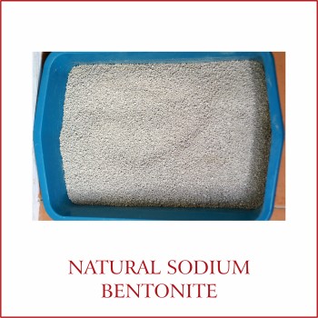Bonnie Bentonite Cat Litter | Unscented (5l)