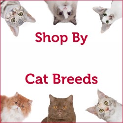 By Cat Breed