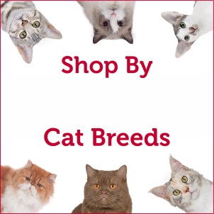 By Cat Breed