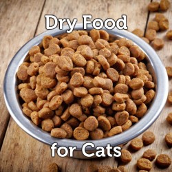 Dry Cat Food