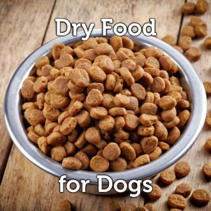 Dry Food for Dogs