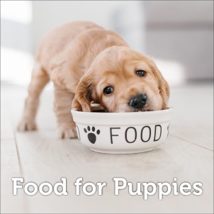 Food for Puppies