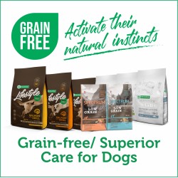 Grain-Free & Superior Care for Dogs