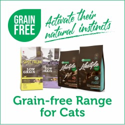 Grain-Free Food for Cats