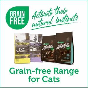 Grain-Free Food for Cats
