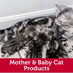 Mother and Baby Cat Products