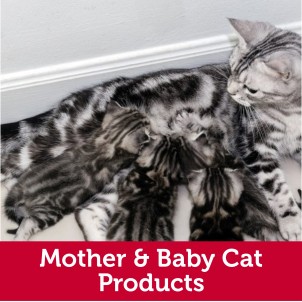 Mother and Baby Cat Products