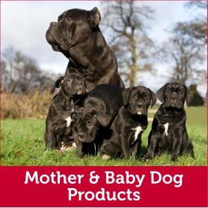 Mother & Baby Dog Products