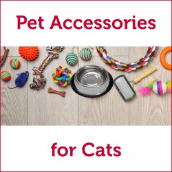 Pet Accessories for Cats