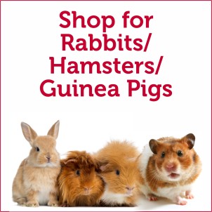 Shop for Rabbits/Hamsters/Guinea Pigs/Rodents