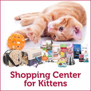 Shopping Center for Kittens