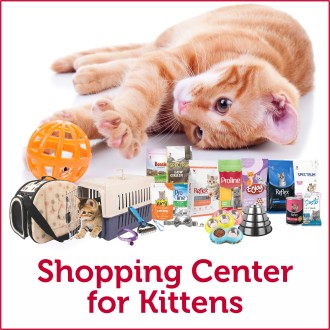 NEW KITTEN?  WE HAVE YOU COVERED.
Explore multiple options for dry & wet food, snacks & treats, supplements, accessories, and much more...