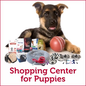 Shopping Center for Puppies