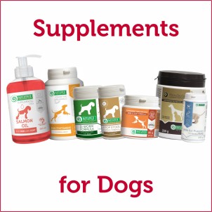Supplements for Dogs