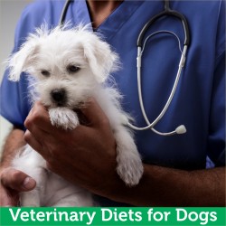 Veterinary/Prescription/Therapeutic Diets for Dogs