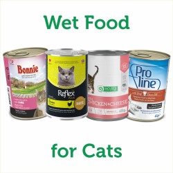 Wet or Canned Food for Cats