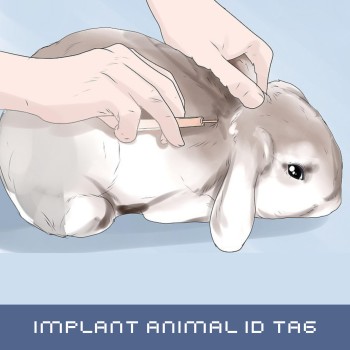 Identiphy Animal ID (KDINNW)