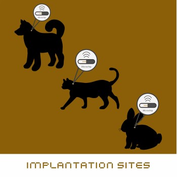 Identiphy Animal ID (KDINNW)