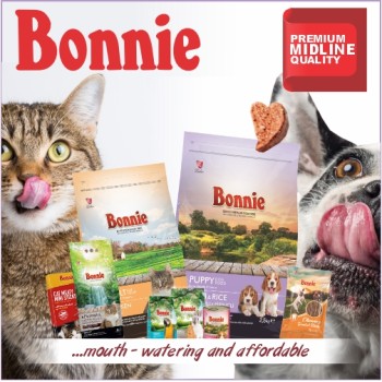 Bonnie Adult Cat Food | Salmon (500g)