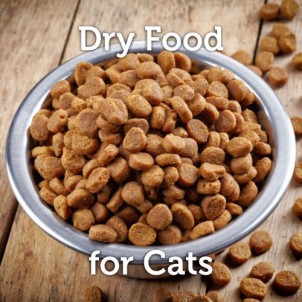 Dry Cat Food