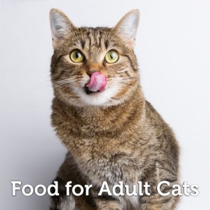 Food for Adult Cats