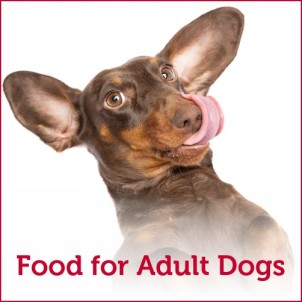 Food for Adult Dogs