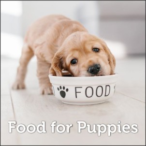 Food for Puppies