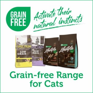 Grain-Free Food for Cats