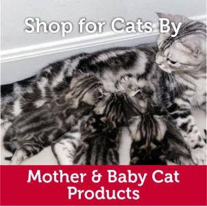 Mother and Baby Cat Products