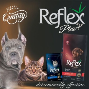 Reflex Plus (Super-Premium)