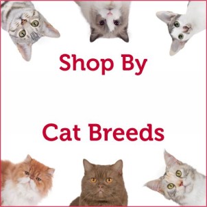 By Cat Breed