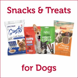 Treats & Snacks for Dogs